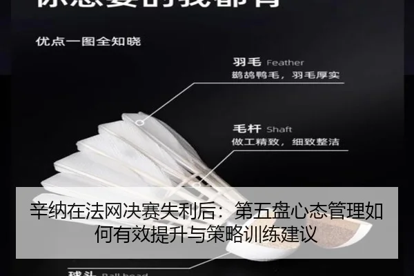 辛纳在法网决赛失利后：第五盘心态管理如何有效提升与策略训练建议