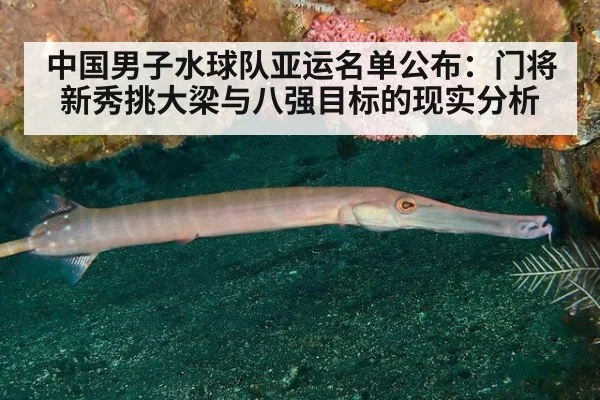 中国男子水球队亚运名单公布:门将新秀挑大梁与八强目标的现实分析